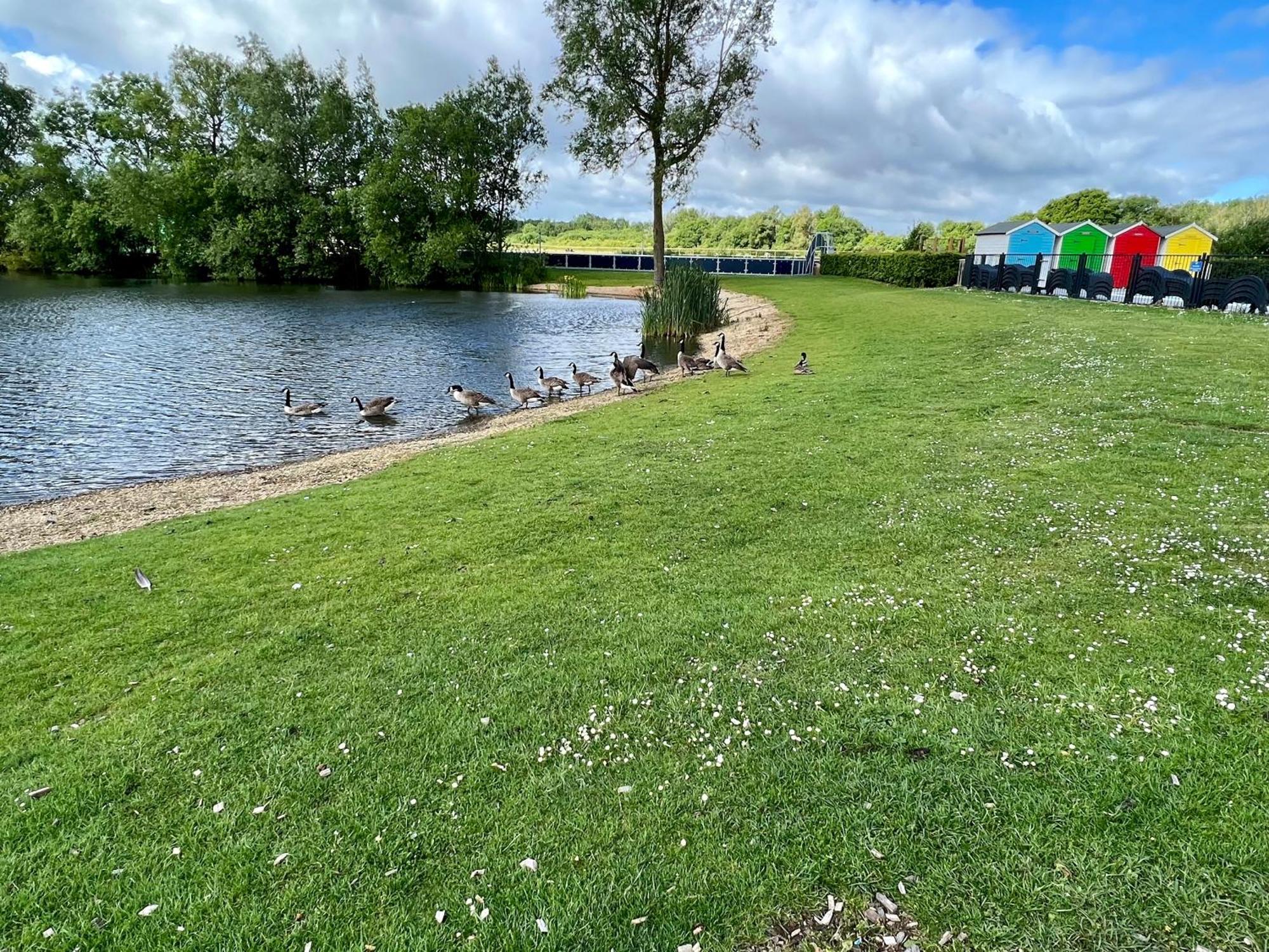 Bluebell Lodge, Dog Friendly Holiday home South Cerney